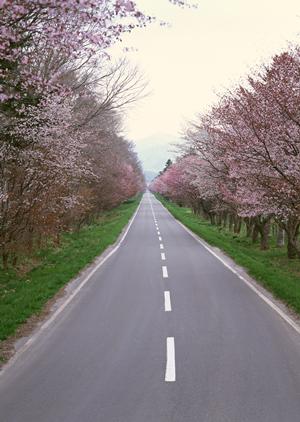 五島列島でレンタカーと言えばこちら