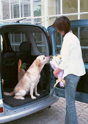 カスタマイズ可能な移動販売車コンビニ
