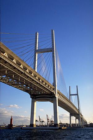 2025年最新版：PPFの効果と選び方、施工のポイント徹底解説