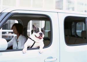 安心・お得に車検を受けるなら!豊田市で選ぶべき信頼の車検サービスガイド